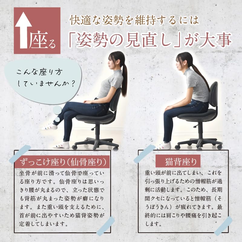 Amazon.co.jp: リビングプランニング 腰クッション 姿勢を正す
